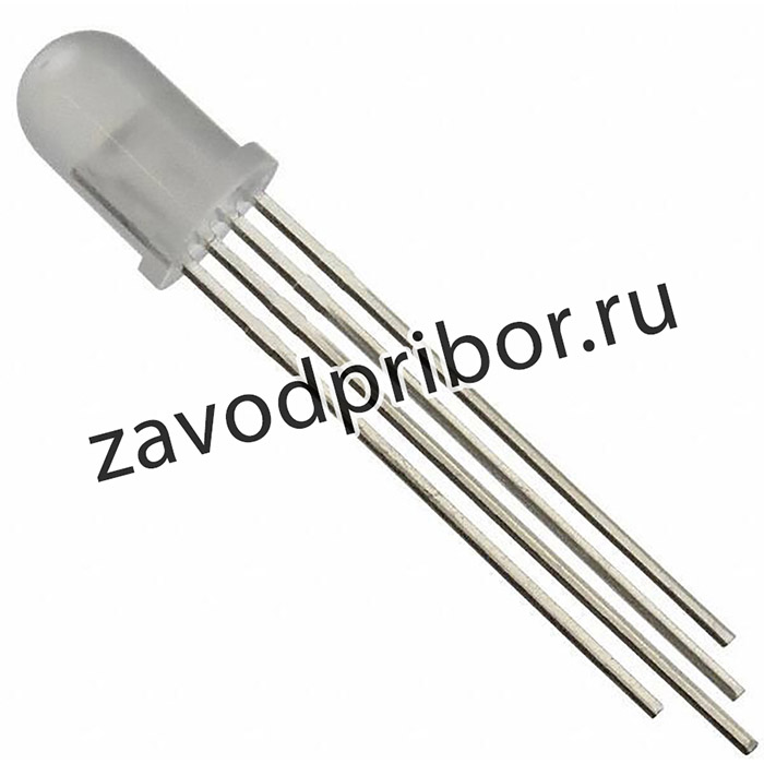 WP154A4SEJ3VBDZGW/CA
