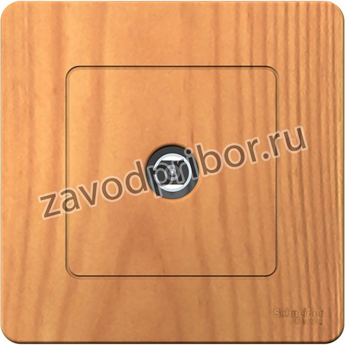 Systeme Electric Blanca внутр Ясень Розетка TV