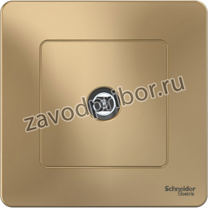 Systeme Electric Blanca внутр Титан Розетка TV