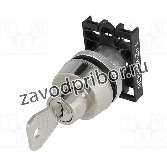 NEK22M-ZA1, Переключатель: поворотный с ключом, Фикс.пол: 2, 22мм, серый, IP40