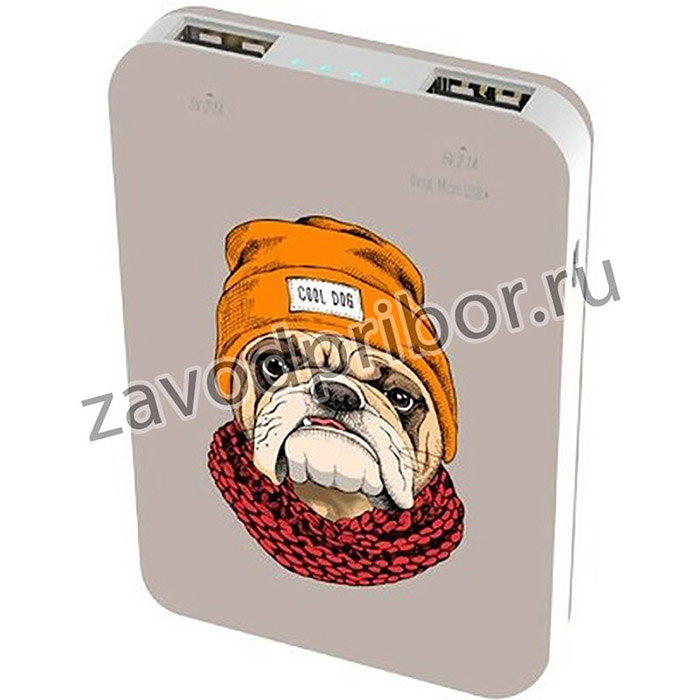 Внешний аккумулятор Ritmix RPB-10007 Bulldog