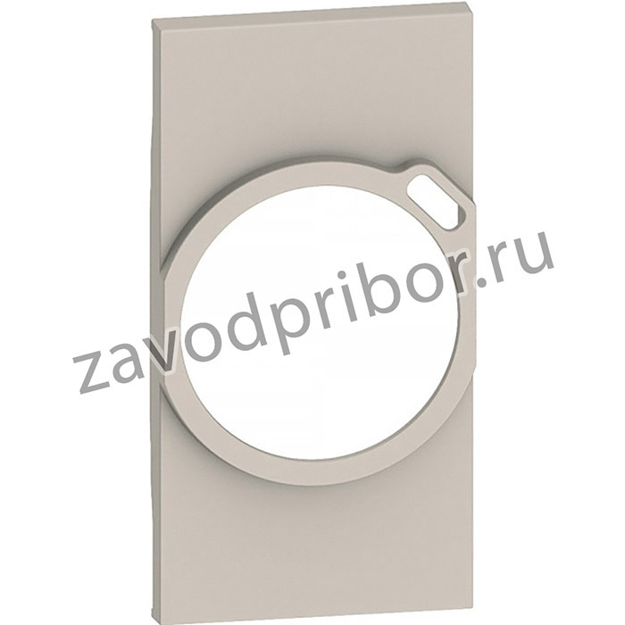 BT Living now Песочный Лицевая панель для комбинированных розеток 2К+З/USB 2 мод