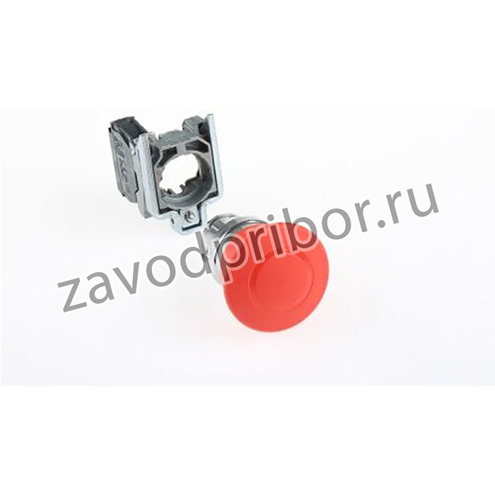 XB4BT842