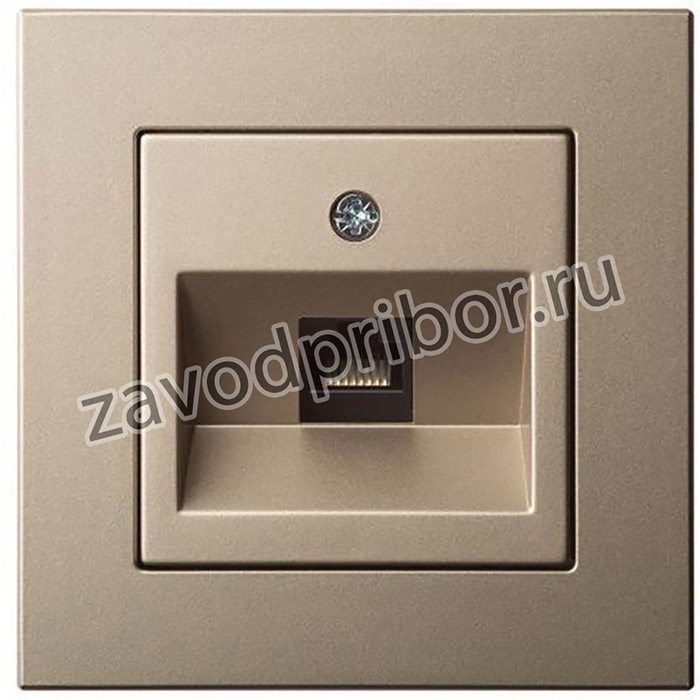 Розетка для интернета LIREGUS Эпсилон IKL-001-01 E/Ch шампань без рамки 28-316