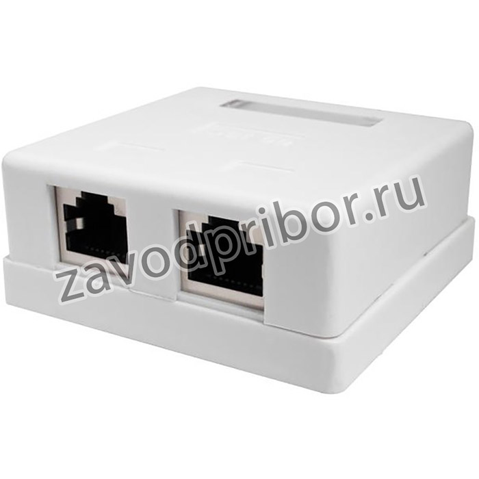 Розетка компьютерная 2м 8P8C (RJ-45) FTP кат.5E SUPRLAN 10-0308