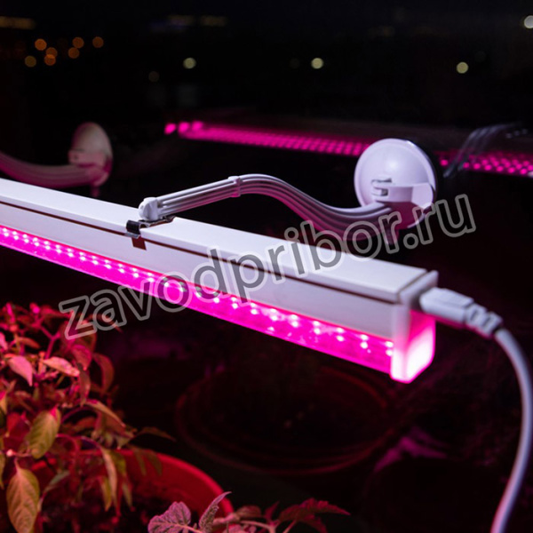 Кронштейн для фитоламп и фитосветильников ЭРА FITO-Hanger на присоске Б0056912