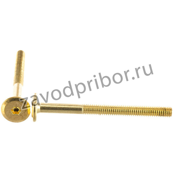 Винт меб. с пл. гол. латунир. М 6 х 70 16 шт. 6 1611 2