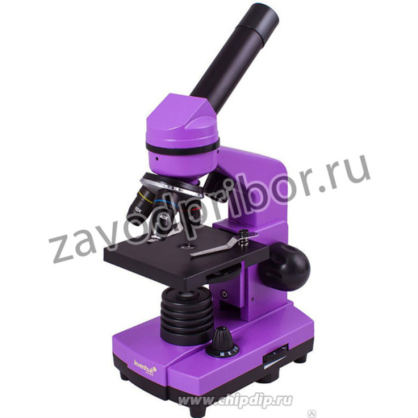 69042, (RU) Микроскоп Levenhuk Rainbow 2L PLUS Amethyst\Аметист