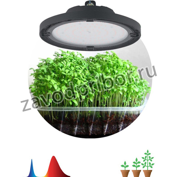 Фитопрожектор для растений светодиодный ЭРА FITO-50W-RB-LED-UFO красно-синего спектра 50 Вт IP65 Б0053280
