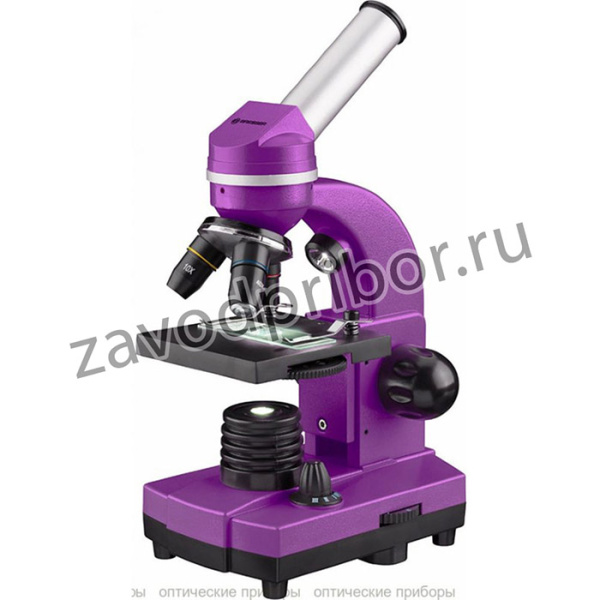 Микроскоп Junior Biolux SEL 40-1600x, фиолетовый 74321