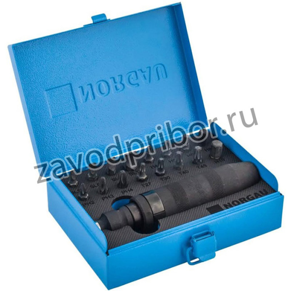 Набор бит с ударной отверткой 1/2", тип NK1900-018, 062493018