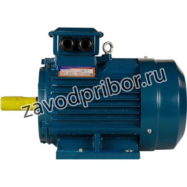 Электродвигатель 112 М2 7.6/3000 IM 1081 01.01.214216