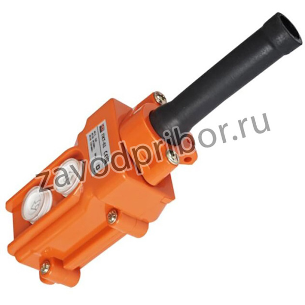 Пульт кнопочный ПКТ-61 на 2 кнопки IP54 HLT