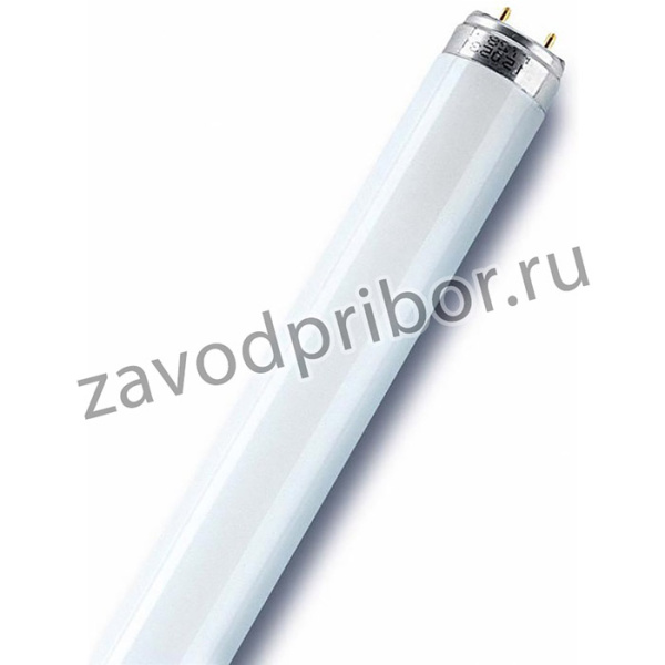 4050300517933, Флуоресцентная трубка, G13, T-8, 58 Вт, 1.5 м, 5000 лм, 6500 K