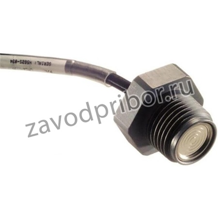 LM31-00000F-030PG