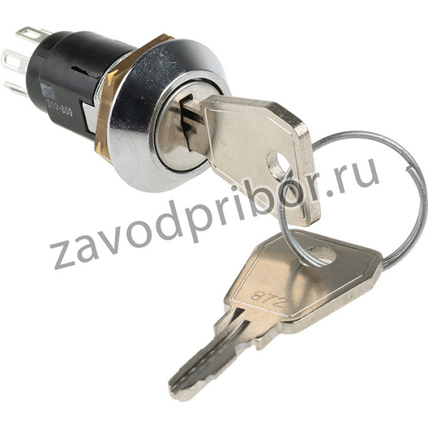 SRL5MD2, Key Switch, DPDT, 1 A @ 24V ac dc / 115V ac 2-Way Random-Key