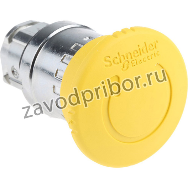 ZB4BS55