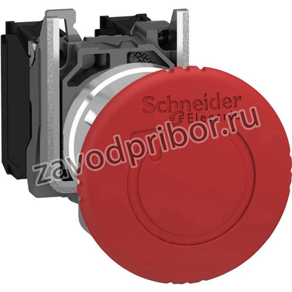 XB4BS84441
