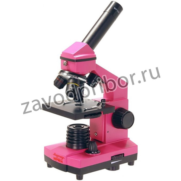 25449, Микроскоп Микромед Эврика 40х-400х в кейсе (фуксия)