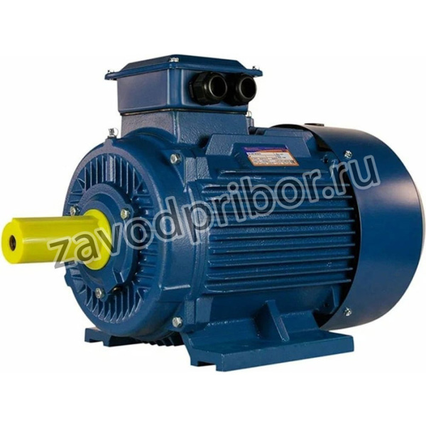 Электродвигатель 200 L2 45/3000 IM 1001 01.01.213642
