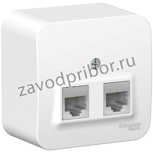 Розетка компьютерная 2-м ОП Blanca RJ45 кат.5E с изолир. пластиной бел. SE BLNIA045451