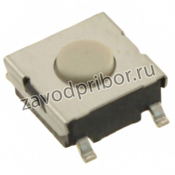 B3FS1002