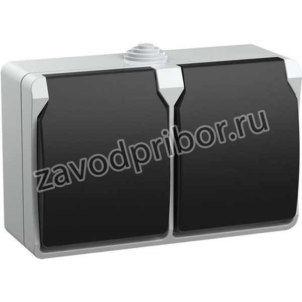 Розетка 2-м ОП Форс РСб22-3-ФСр с защ. крышкой с заземл. IP54 ИЭК ERS22-K03-16-54-DC