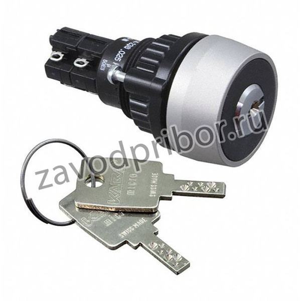 14-236.025K, SWITCH, KEY LOCK, 2NO/2NC, 5A, 250V