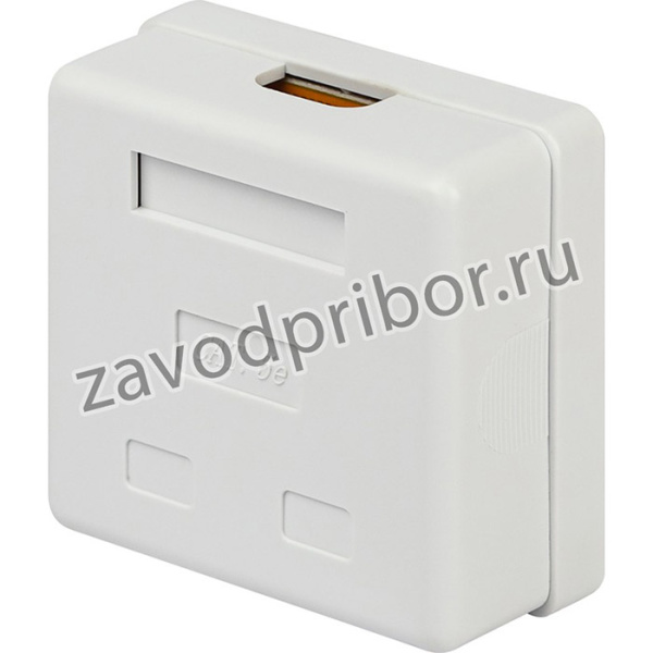 Компьютерная розетка ЭРА RJ-45 категория 5е неэкранированная 2-порта упаковка 30 шт Б0056902