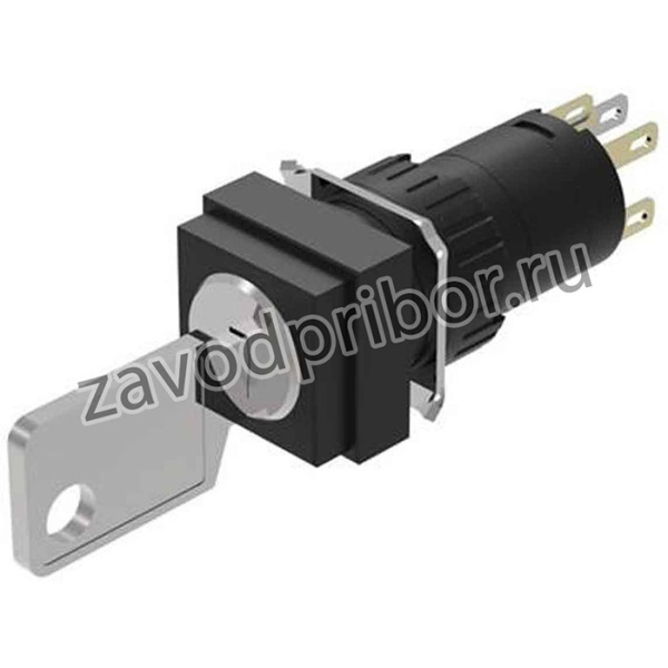 51-255.022D, IP65 Keylock Switch, NC/NO, 5 A 2-Way Standard-Key