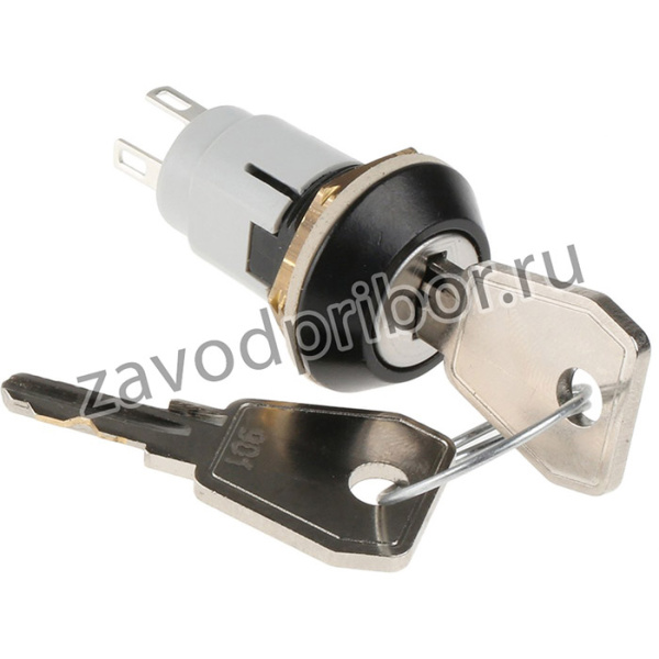 WRL-5-E-S-2-B, IP67 Key Switch, SPDT, 3 A@ 50 V dc, 5 A@ 115 V ac 2-Way Common-Key